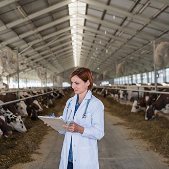 Curso Universitario de Especialización en Auxiliar de Veterinaria en Granjas