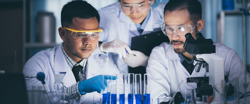 Curso de Desarrollo Profesional en Bioética en Ciencias Sanitarías