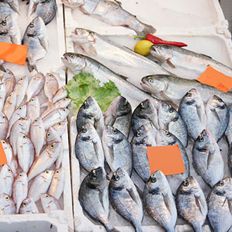 Curso Superior en Dependiente de Pescadería