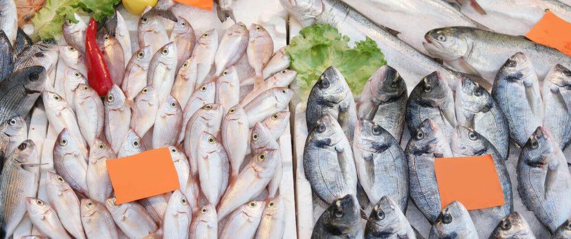 Curso Superior en Dependiente de Pescadería