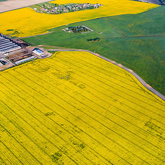 Curso de Desarrollo Profesional en Implementación y Certificación del Protocolo Global GAP V 5.3