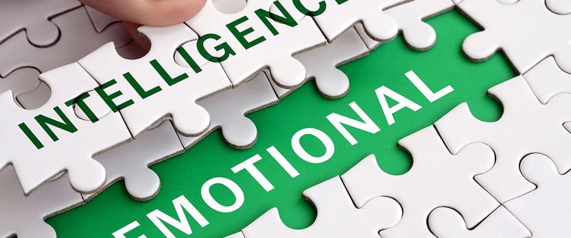 Curso de Desarrollo Profesional en Inteligencia Emocional para la Superación y Desarrollo Profesional