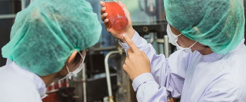 Curso en Técnicas de Inspección y Muestreo en Procesos de Calidad