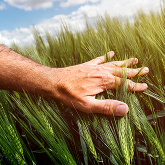 Curso en Implementación de Sistemas de Gestión Ambiental