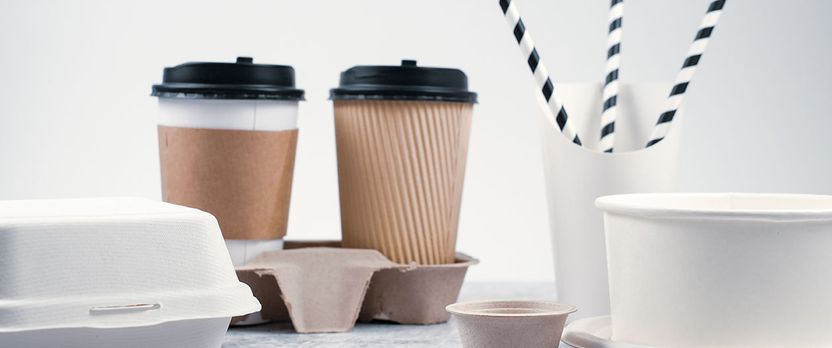 Curso en Aplicación del Estándar Global GAP V4