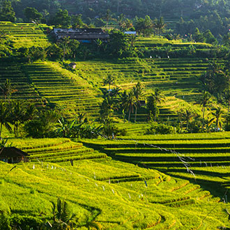 Curso en Legislación y Políticas Agrarias de la Unión Europea