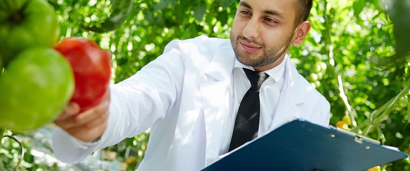 Curso en Administración Eficiente de Empresas Agrarias