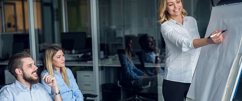 Curso de Desarrollo Profesional en Diseño de Modelos de Negocio Innovadores para Startups