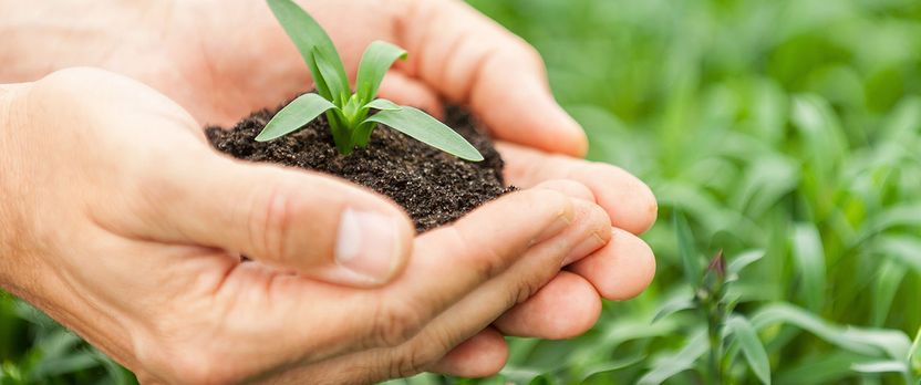Curso en Gestión e Incorporación a la Empresa Agraria