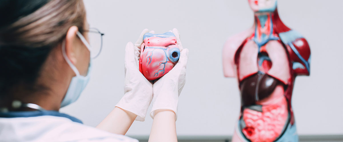 Especialidad Clínica de Medicina Interna