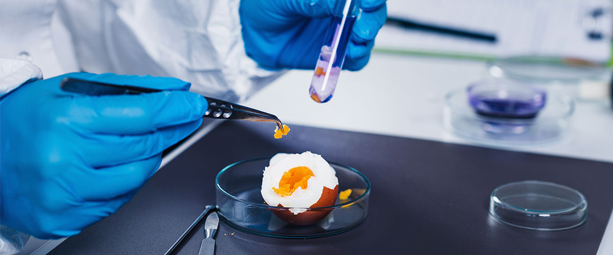 Especialidad en Biotecnología Alimentaria, Fermentación y Enzimas