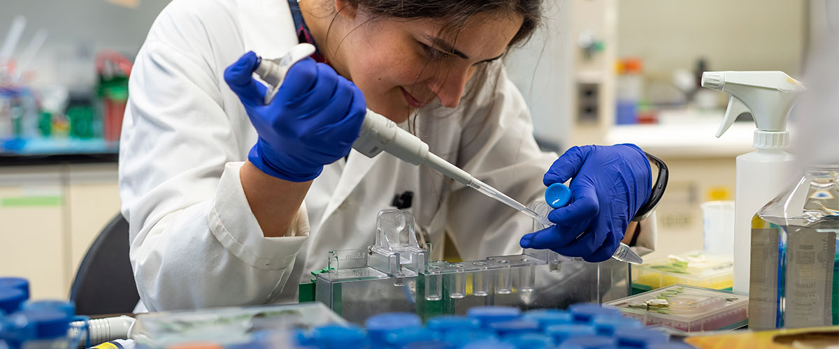 Especialidad en Biotecnología Biomédica