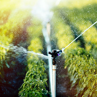 Curso de Desarrollo Profesional en Implementación y Mantenimiento de Sistemas de Gestión Ambiental