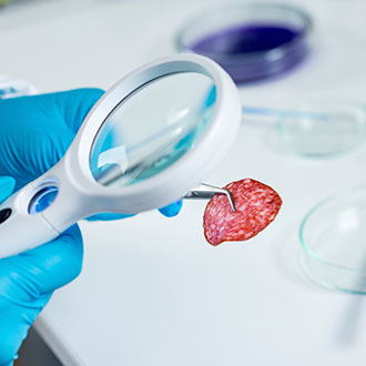 Curso de Desarrollo Profesional en Implementación de la Norma ISO 22000:2005 en Seguridad Alimentaria