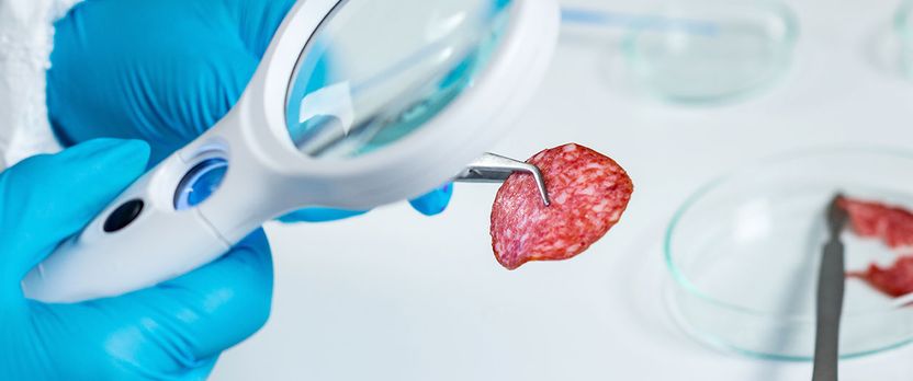 Curso de Desarrollo Profesional en Implementación de la Norma ISO 22000:2005 en Seguridad Alimentaria