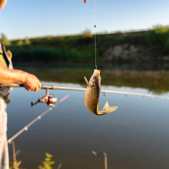 Curso en Técnicas de Confección y Montaje en la Pesca Profesional