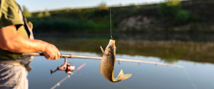Curso en Técnicas de Confección y Montaje en la Pesca Profesional