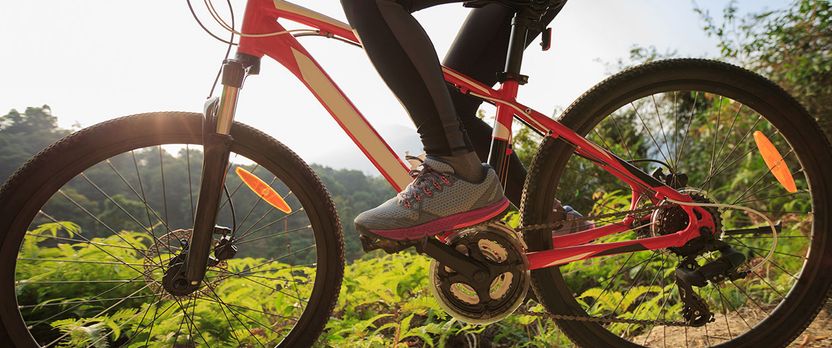 Curso en Mantenimiento y Conducción de Bicicletas