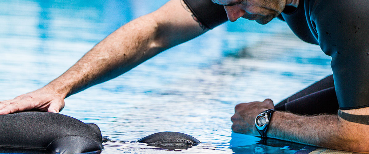 Apnea (Deporte)