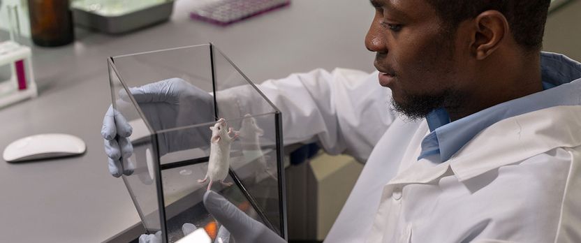 Curso de Desarrollo Profesional en Aplicaciones de la Biotecnología e Inmunología en Flora y Fauna