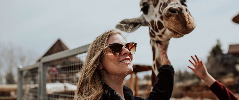 Curso Superior en Cuidador de Parques Zoológicos