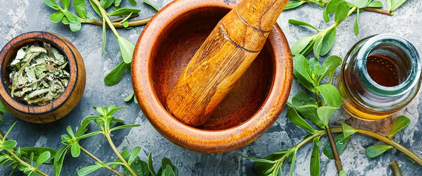 Curso en Uso y Aplicaciones de Plantas Medicinales