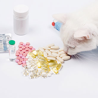 Curso Universitario de Especialización en Control de Calidad y Normativas en Alimentación Animal