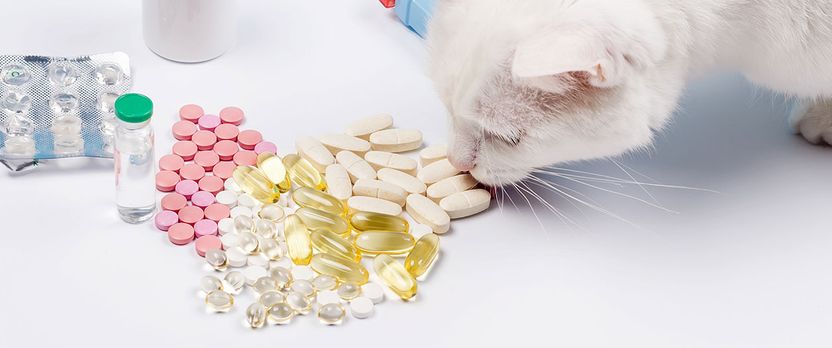 Curso Universitario de Especialización en Control de Calidad y Normativas en Alimentación Animal