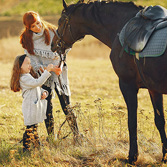 Curso de Desarrollo Profesional en Fisioterapia aplicada a las Terapias Ecuestres e Intervenciones Asistidas con Caballos
