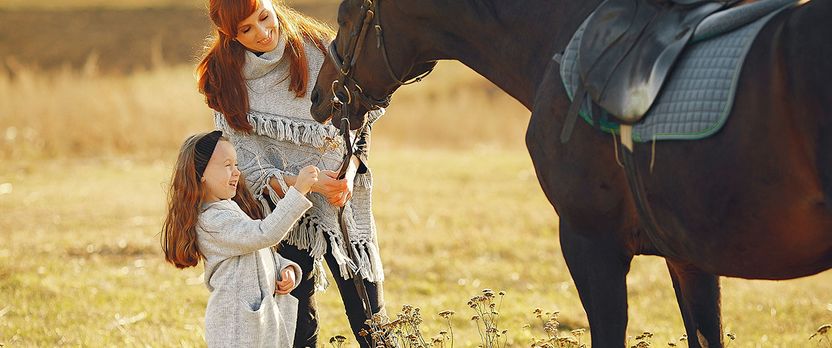 Curso de Desarrollo Profesional en Fisioterapia aplicada a las Terapias Ecuestres e Intervenciones Asistidas con Caballos