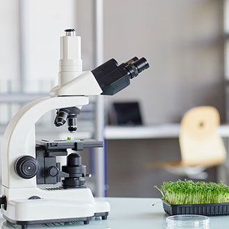 Curso Universitario de Especialización en Electrónica Molecular y Nanomagnetismo