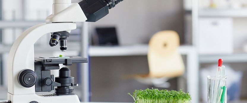 Curso Universitario de Especialización en Electrónica Molecular y Nanomagnetismo
