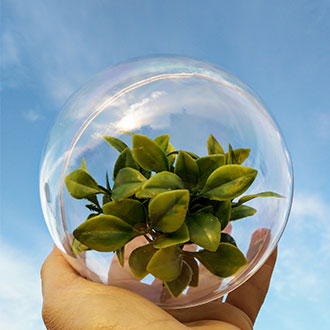 Experto Universitario en Estrategias y Soluciones para la Sostenibilidad Ecológica