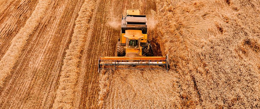 Curso en Trabajador Agropecuario