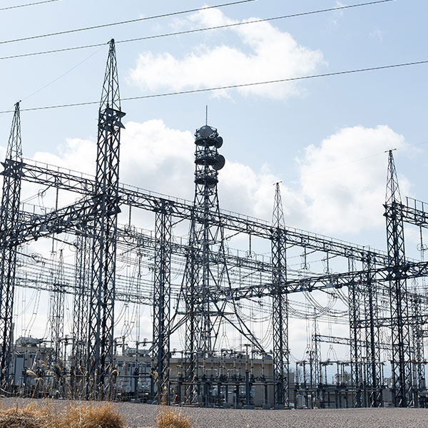 Especialista en Dirección de Proyectos de Infraestructura Eléctrica