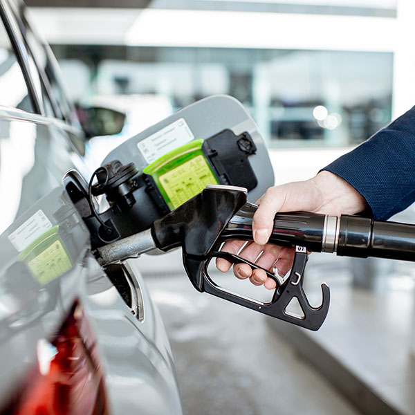 Curso Superior en Mecánica de Electricidad e Inyección Electrónica de Gasolina