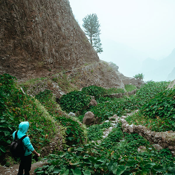 Curso de Especialización en Gestión de Rutas en Barrancos