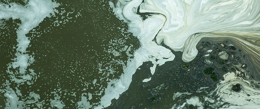 Máster de Formación Permanente en Dirección de Proyectos de Saneamiento y Abastecimiento de Agua