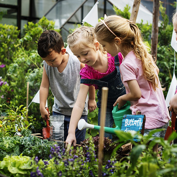 Experto Universitario en Diseño y Gestión de Programas Educativos y de Ocio Juvenil