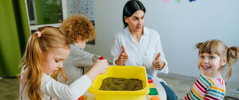 Curso de Desarrollo Profesional en Diseño y Ejecución de Programas Educativos en Tiempo Libre