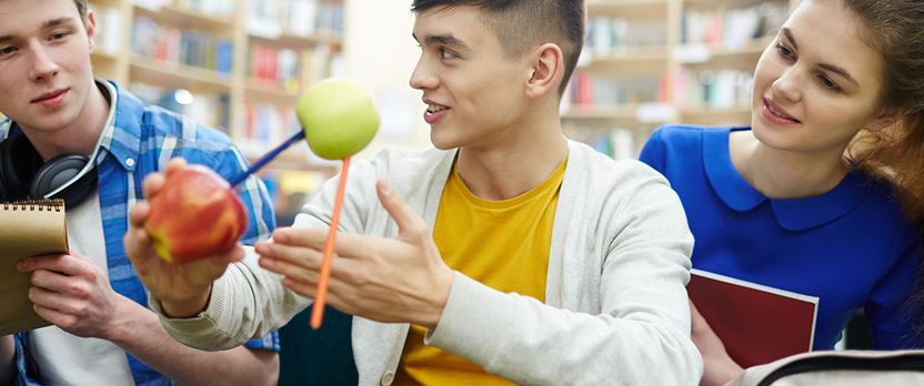 Curso en Estrategias de Enseñanza Efectiva en Física y Química