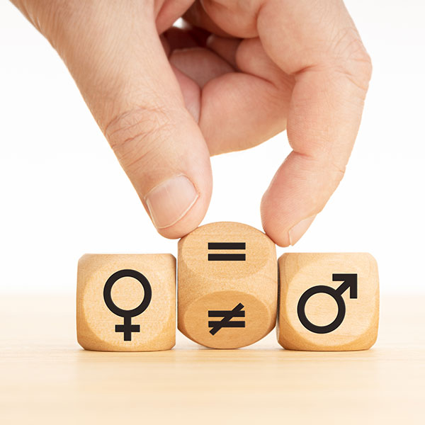 Curso Superior en Técnico Profesional en Igualdad de Género