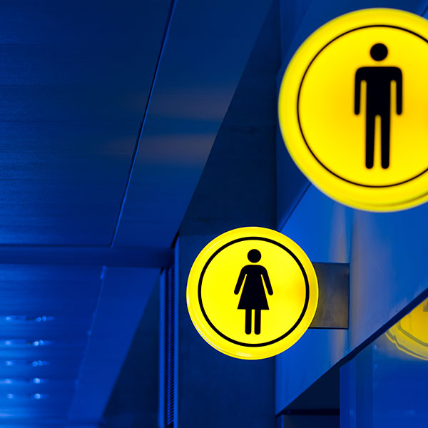 Curso Universitario de Especialización en Fundamentación Teórica y Legislativa de Igualdad