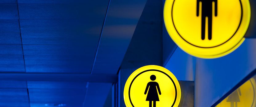 Curso Universitario de Especialización en Fundamentación Teórica y Legislativa de Igualdad