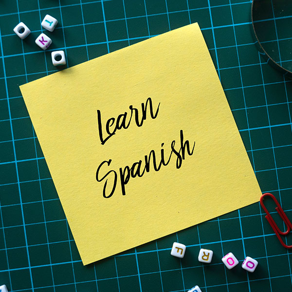 Curso en Español para Extranjeros C1