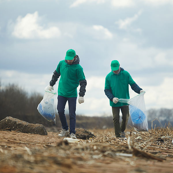Curso de Desarrollo Profesional en Ecología Aplicada