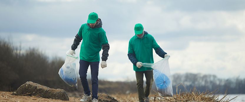 Curso de Desarrollo Profesional en Ecología Aplicada