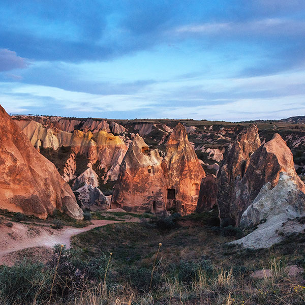 Curso Universitario de Especialización en Análisis de Factores Abióticos, Bióticos y Humanos en el Medio Ambiente
