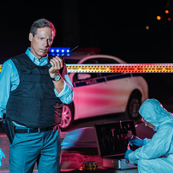 Curso de Desarrollo Profesional en Análisis del Entorno y su Influencia en la Actividad Delictiva