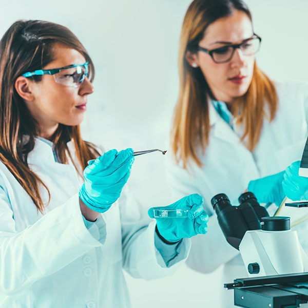 Curso Universitario de Especialización en Ensayos Biotecnológicos